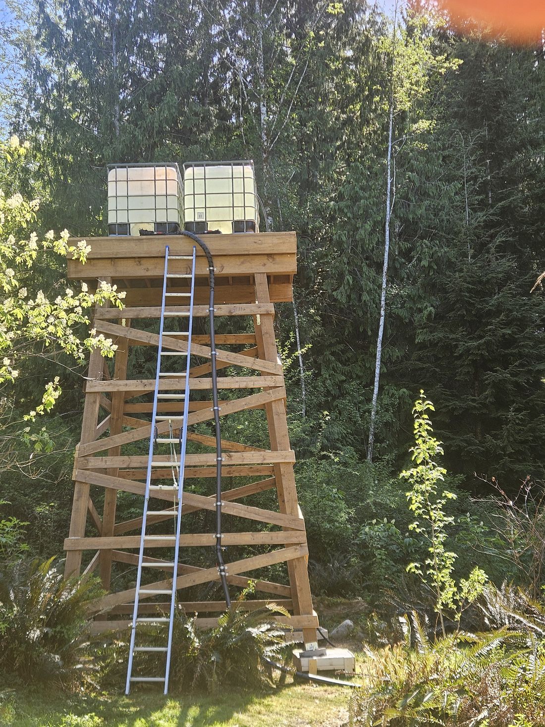 A braced timber water tower carrying two water totes on an off-grid property