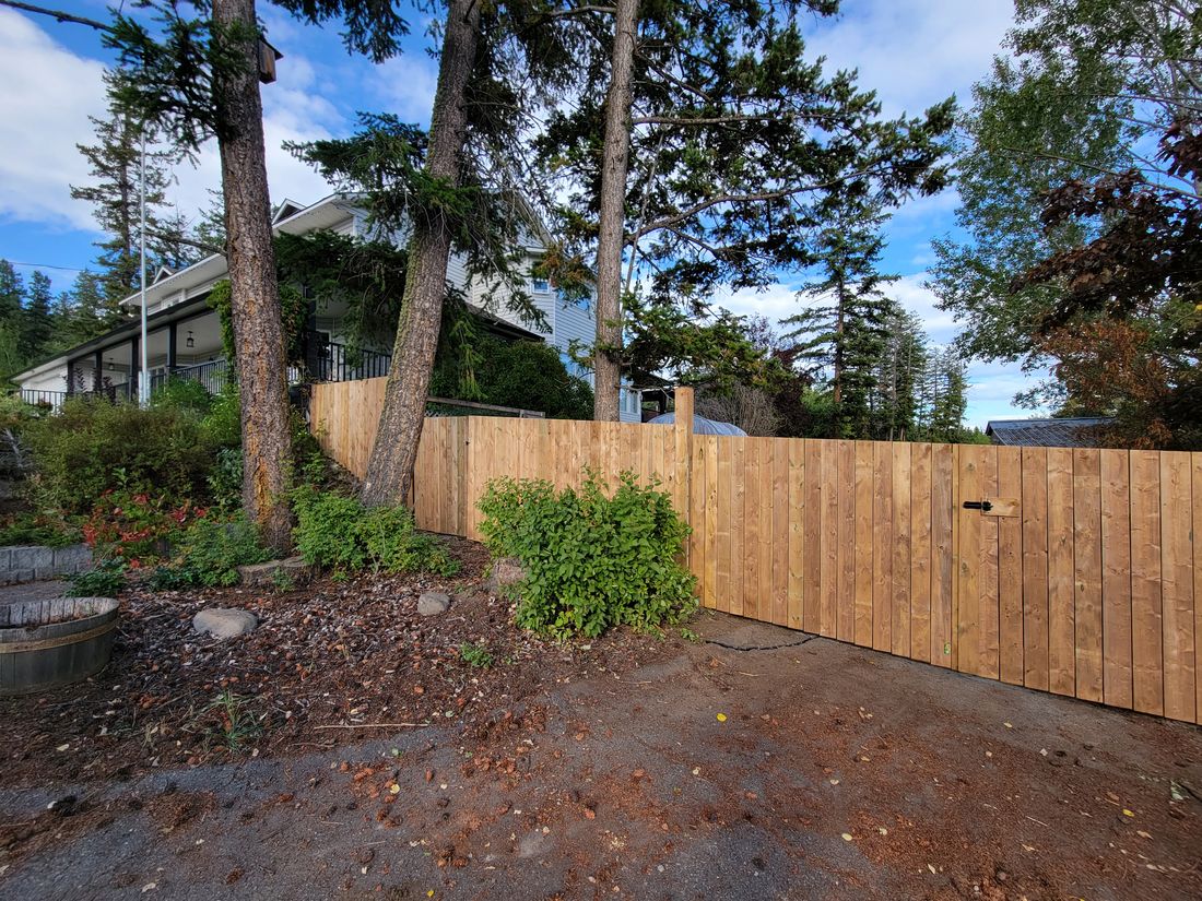 A fence re-faced in pressure-treated boards with new gates