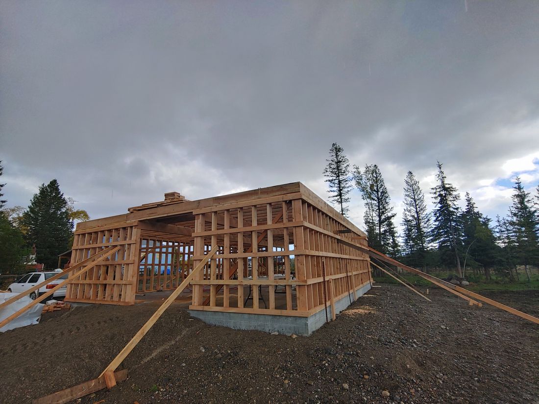 A barn framed in rough-cut fir with walls up and braced
