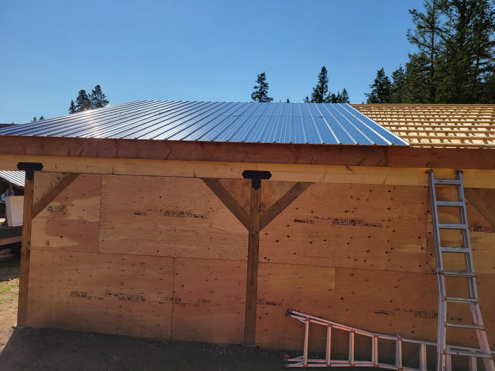 Metal roofing going on over purlins at the Chimney Lake greenhouse
